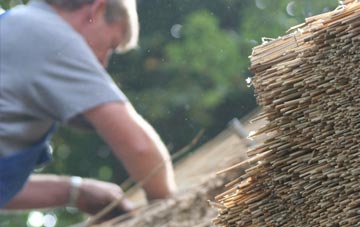 professional Tan Y Bwlch thatchers